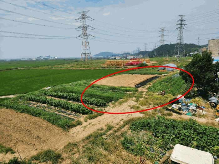 법원경매 2025타경677 사진10 | 당진시 석문면 교로리 839 답 경매