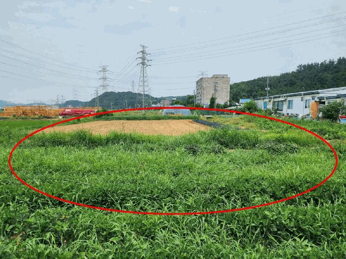 법원경매 2025타경677 사진12 | 당진시 석문면 교로리 839 답 경매