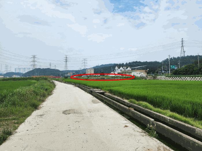 법원경매 2025타경677 사진13 | 당진시 석문면 교로리 839 답 경매