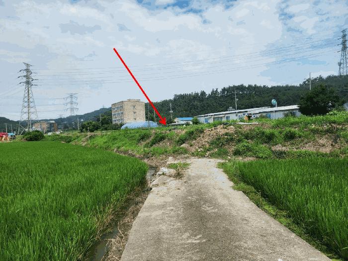 법원경매 2025타경677 사진3 | 당진시 석문면 교로리 839 답 경매