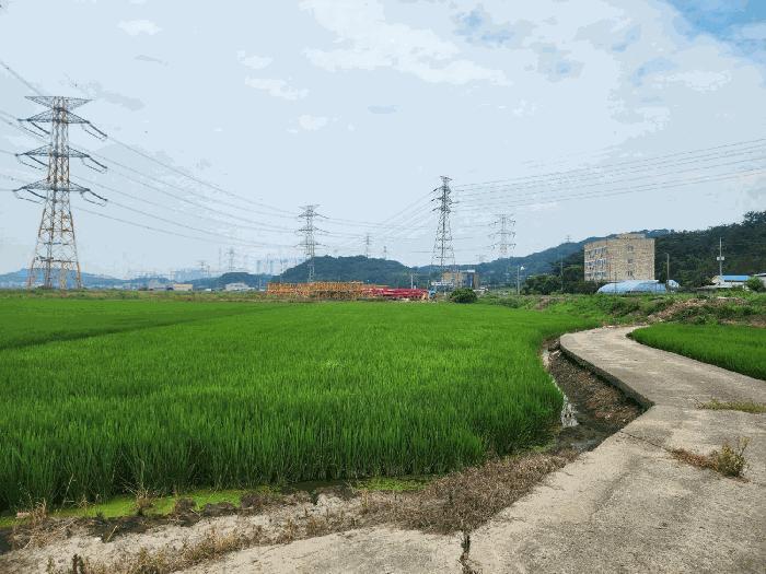 법원경매 2025타경677 사진6 | 당진시 석문면 교로리 839 답 경매