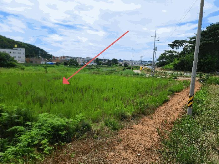 2025타경733 법원경매 사진2 | 충남 태안군 답 경매