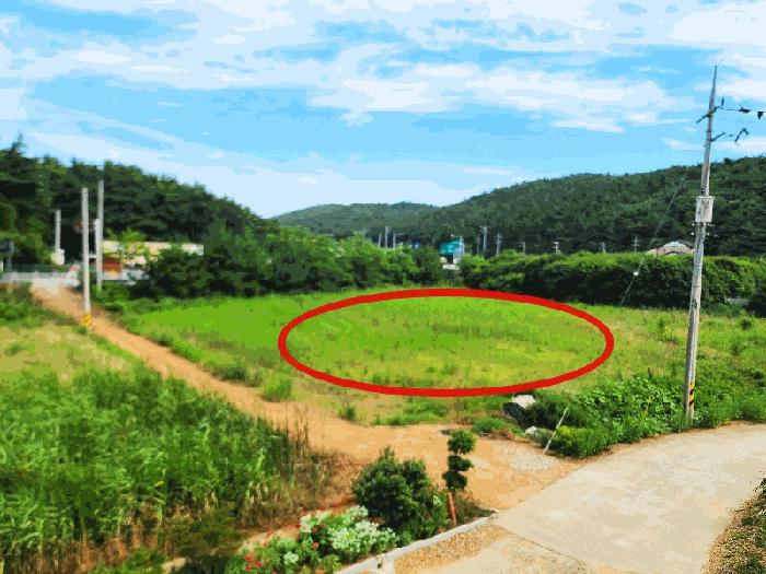2025타경733 법원경매 사진3 | 충남 태안군 답 경매