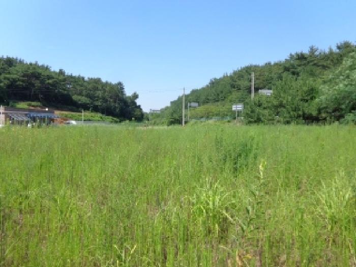 2025타경733 법원경매 사진9 | 충남 태안군 답 경매