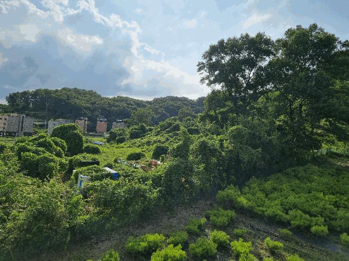 2025타경12263 법원경매 사진2 | 충남 아산시 전 경매