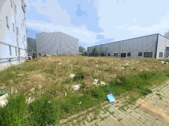 2025타경101306 법원경매 사진5 | 부산 강서구 대지 경매