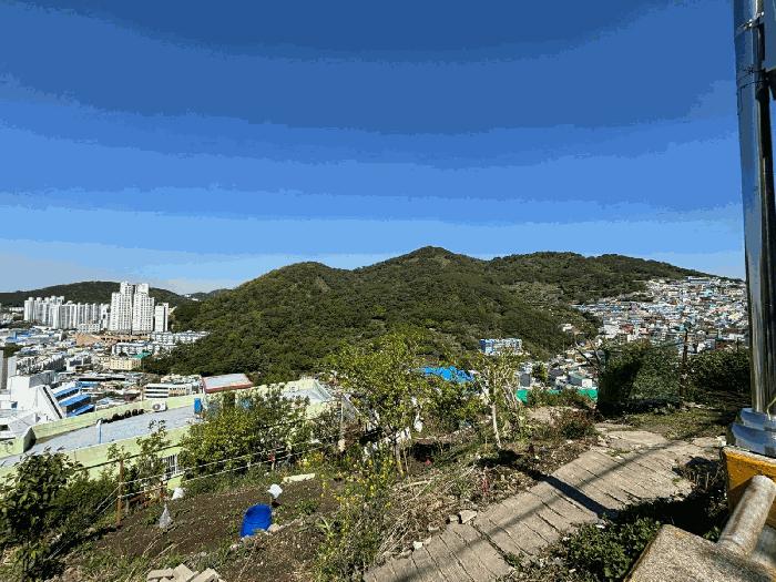 법원경매 2025타경101359 사진2 | 부산 사하구 감천동 임야 경매