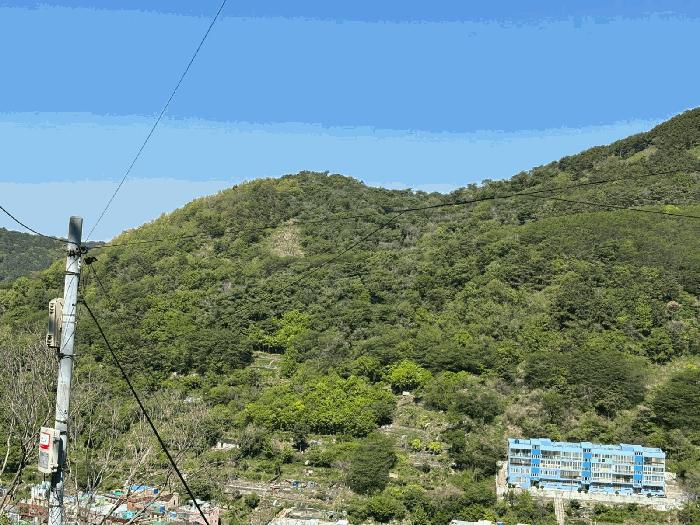 법원경매 2025타경101359 사진3 | 부산 사하구 감천동 임야 경매