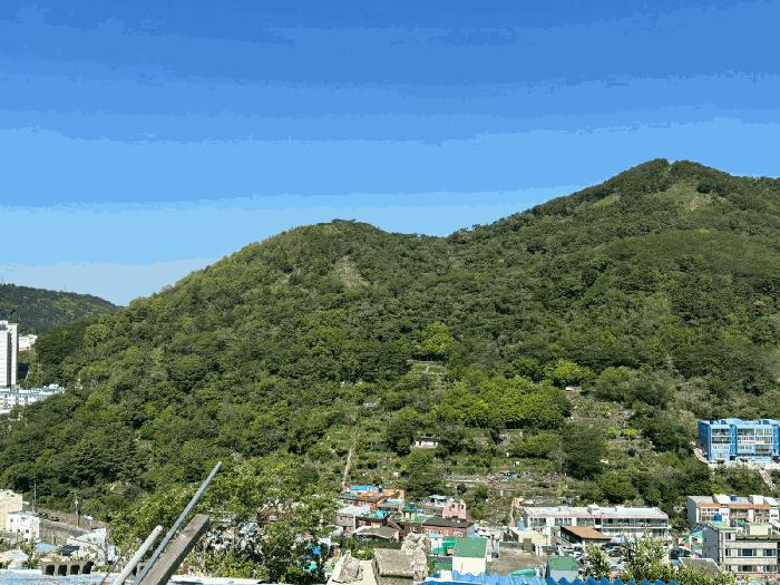 법원경매 2025타경101359 사진4 | 부산 사하구 감천동 임야 경매