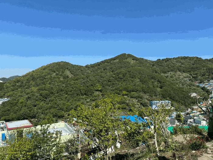 법원경매 2025타경101359 사진7 | 부산 사하구 감천동 임야 경매