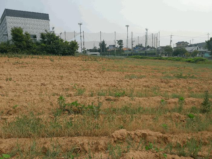 2025타경51368 법원경매 사진2 | 충남 당진시 임야 경매