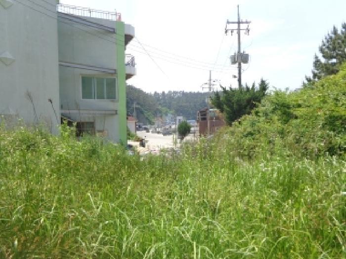 2025타경51382 법원경매 사진8 | 충남 태안군 전 경매