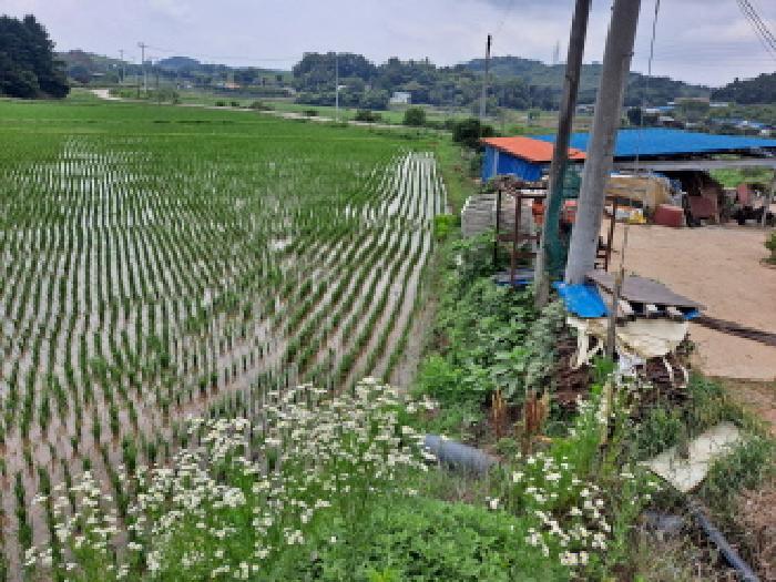 2025타경51408 법원경매 사진20 | 충남 당진시 임야 경매