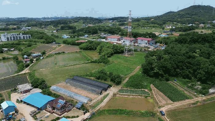 2025타경51408 법원경매 사진4 | 충남 당진시 임야 경매