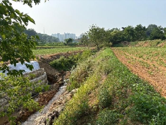 2025타경51437 법원경매 사진13 | 충남 당진시 전 경매