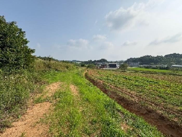 2025타경51437 법원경매 사진8 | 충남 당진시 전 경매