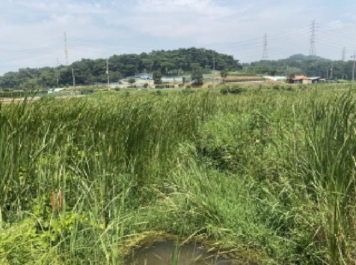 2025타경51534 법원경매 사진7 | 충남 당진시 답 경매