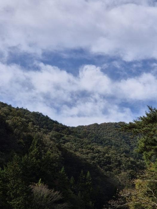 2024타경8063 법원경매 사진29 | 전남 화순군 임야 경매
