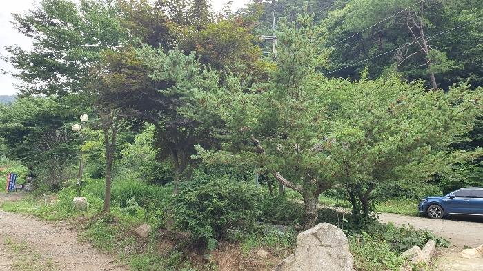 2024타경75346 법원경매 사진12 | 전남 장성군 주택건물 경매