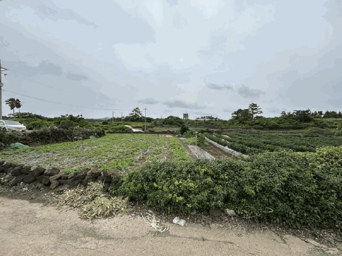 2025타경1400 법원경매 사진3 | 제주 제주시 전 경매