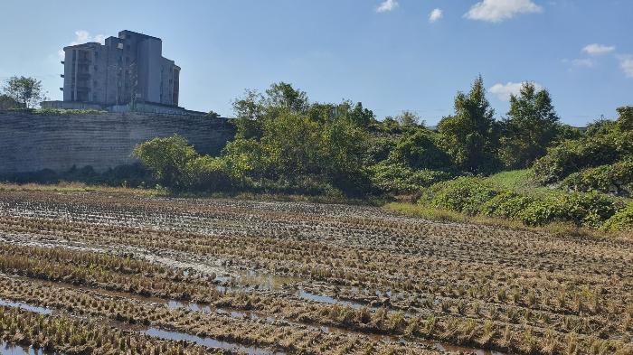 전라남도 곡성군 오산면 운곡리 72-3 법원경매 물건 대표사진