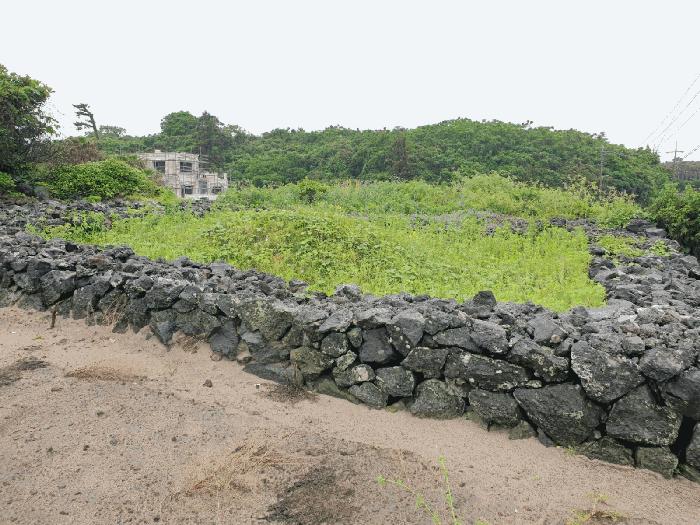 2025타경7996 법원경매 사진4 | 제주 제주시 전 경매