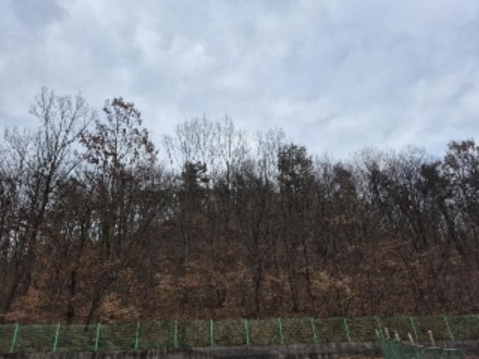 2024타경88076 법원경매 사진6 | 전남 화순군 임야 경매