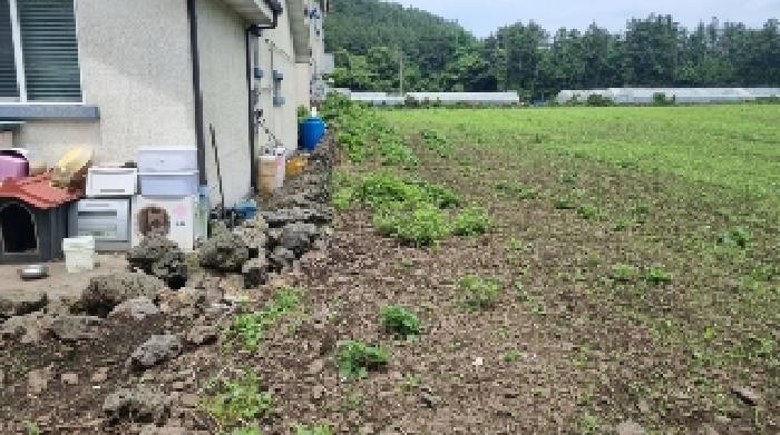 2025타경8199 법원경매 사진9 | 제주 서귀포시 전 경매