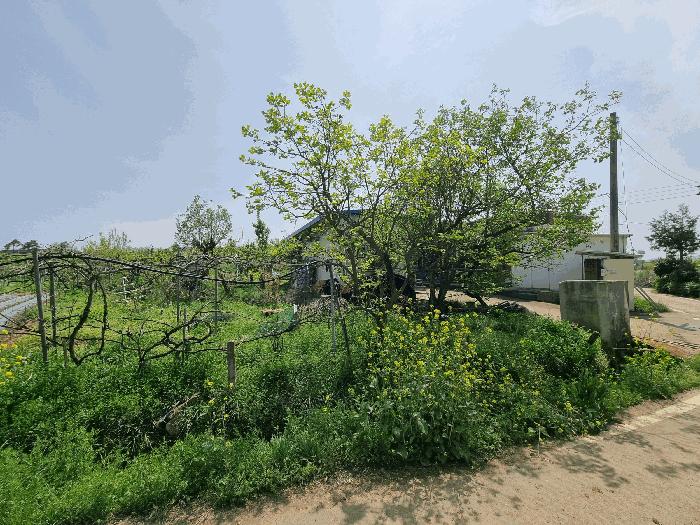 2025타경32575 법원경매 사진10 | 전남 나주시 주택건물 경매