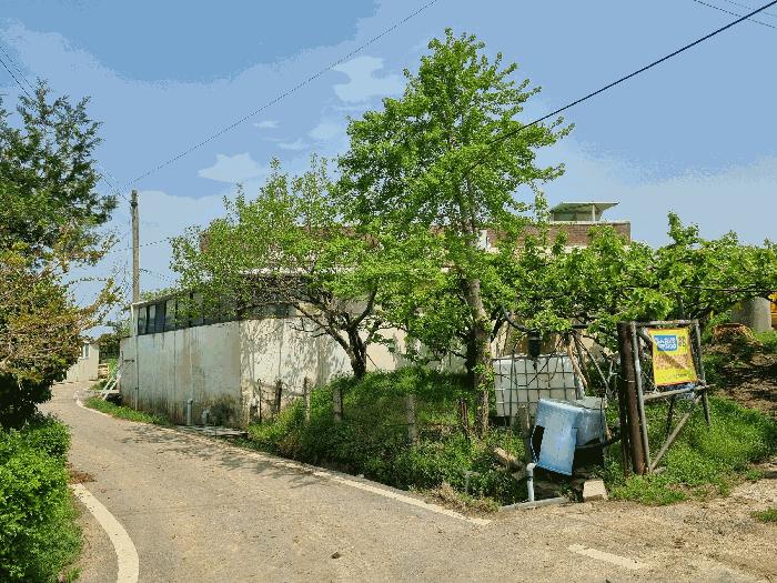 법원경매 2025타경32575 사진7 | 나주시 금천면 신가리 522-11 과수원 경매