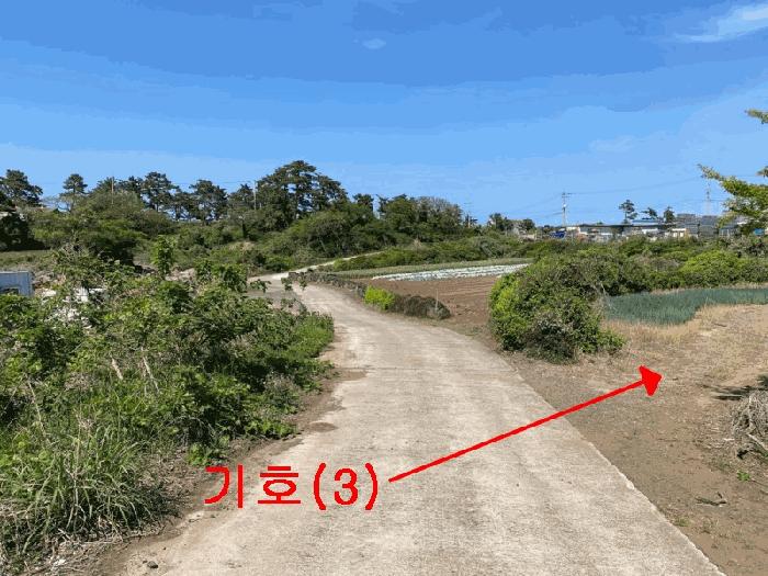 2025타경7945 법원경매 사진6 | 제주 서귀포시 전 경매