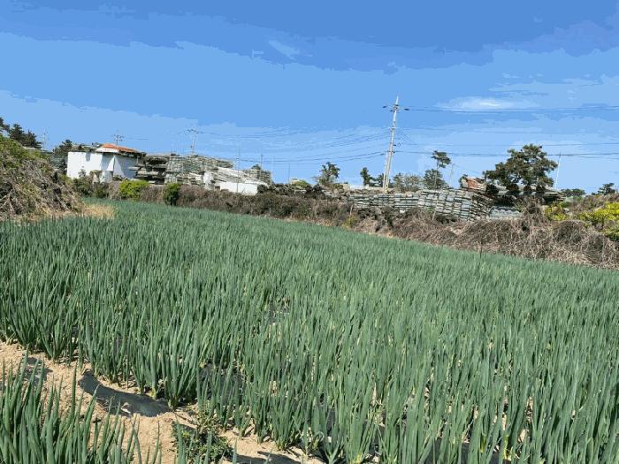 2025타경7945 법원경매 사진2 | 제주 제주시 전 경매