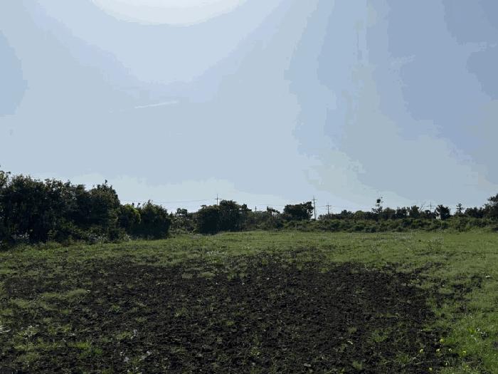 2025타경7945 법원경매 사진9 | 제주 제주시 전 경매