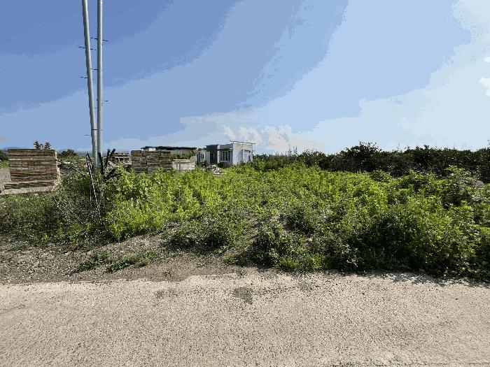 2025타경8248 법원경매 사진3 | 제주 제주시 과수원 경매