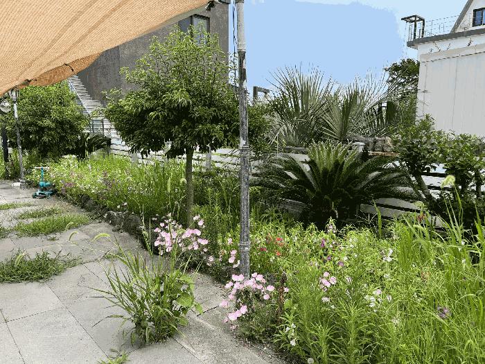 2025타경8248 법원경매 사진7 | 제주 제주시 과수원 경매