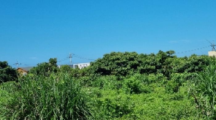 2025타경8285 법원경매 사진2 | 제주 서귀포시 임야 경매