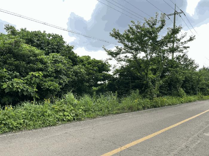 제주특별자치도 서귀포시 성산읍 난산리 2509 법원경매 물건 대표사진