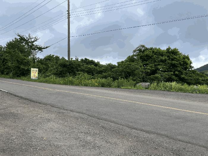 2025타경8338 법원경매 사진9 | 제주 서귀포시 임야 경매