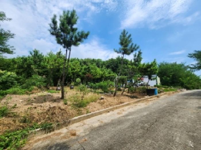 2025타경543 법원경매 사진3 | 전남 순천시 임야 경매