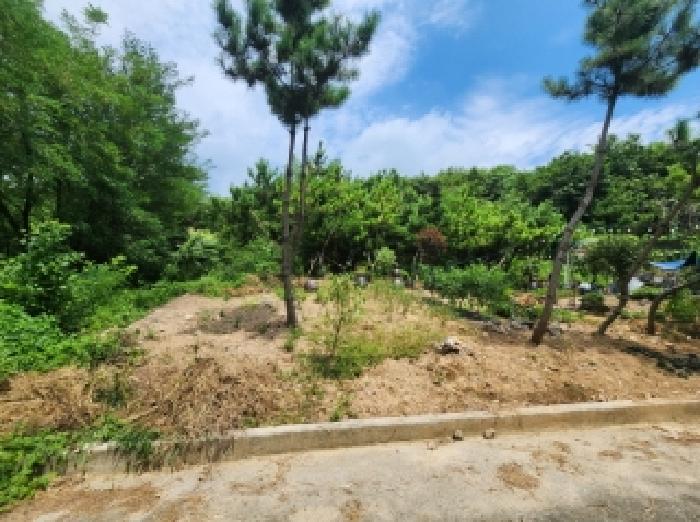 2025타경543 법원경매 사진4 | 전남 순천시 임야 경매