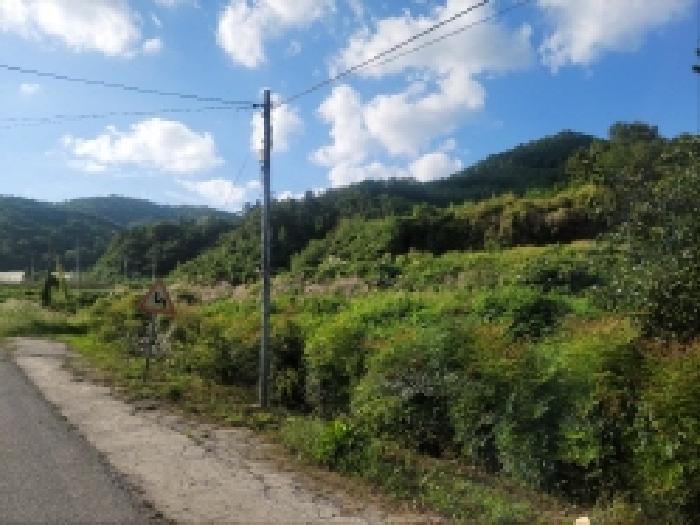 2025타경627 법원경매 사진6 | 전남 보성군 답 경매