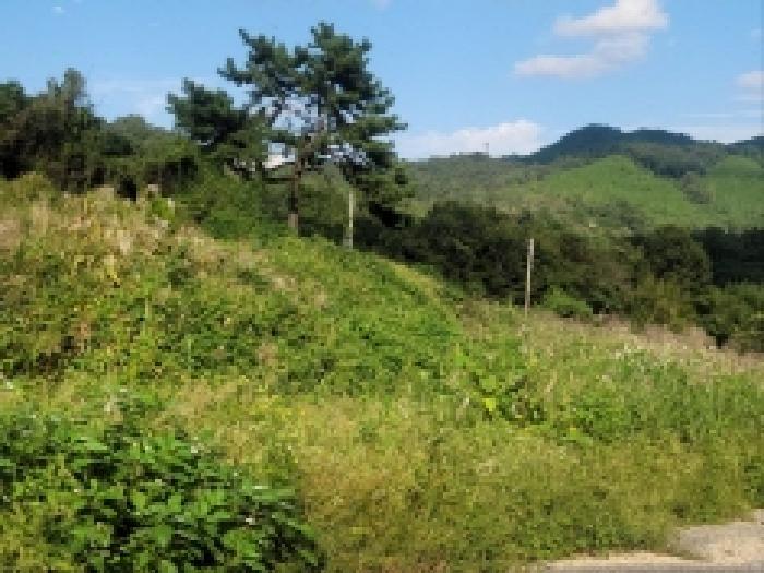 2025타경627 법원경매 사진9 | 전남 보성군 답 경매