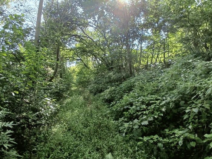 법원경매 2025타경52021 사진2 | 보성군 벌교읍 대포리 542 전 경매