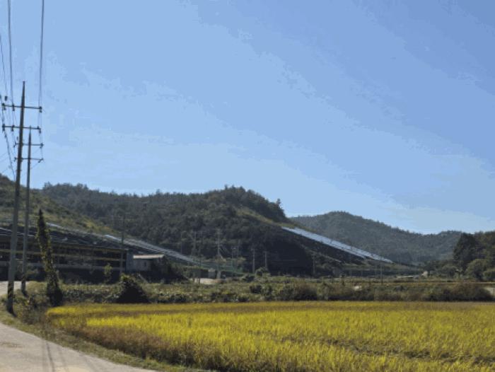 전라남도 보성군 노동면 대련리 산37-2 법원경매 물건 대표사진