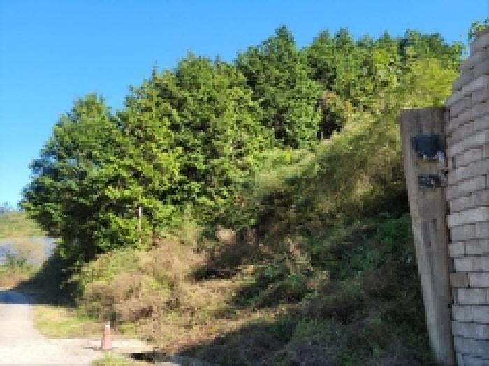 2025타경52123 법원경매 사진7 | 전남 보성군 임야 경매