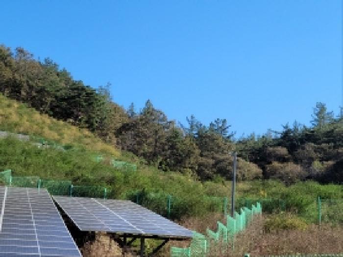 2025타경52123 법원경매 사진3 | 전남 보성군 임야 경매