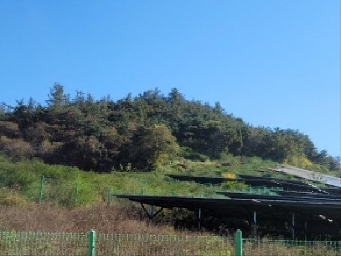 2025타경52123 법원경매 사진4 | 전남 보성군 임야 경매