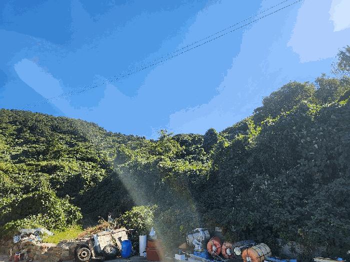 2025타경52165 법원경매 사진7 | 전남 여수시 임야 경매