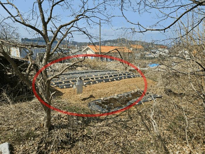 경기도 안산시 단원구 대부북동 1303-8 법원경매 물건 대표사진