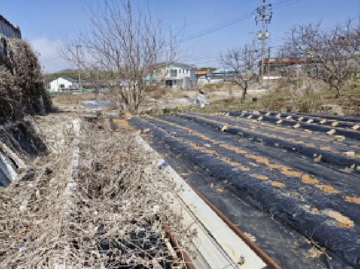 법원경매 2025타경52000 사진6 | 안산시 단원구 대부북동 1303-8 대지 경매